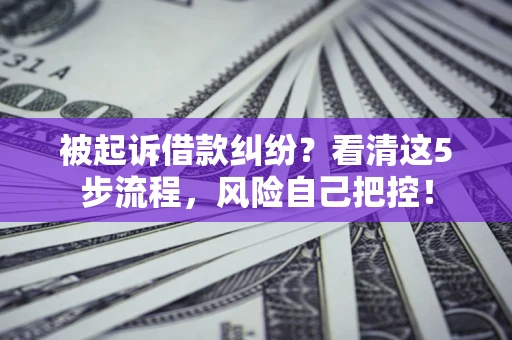 济南被起诉借款纠纷？看清这5步流程，风险自己把控！